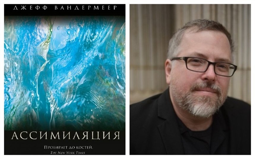 Ассимиляция