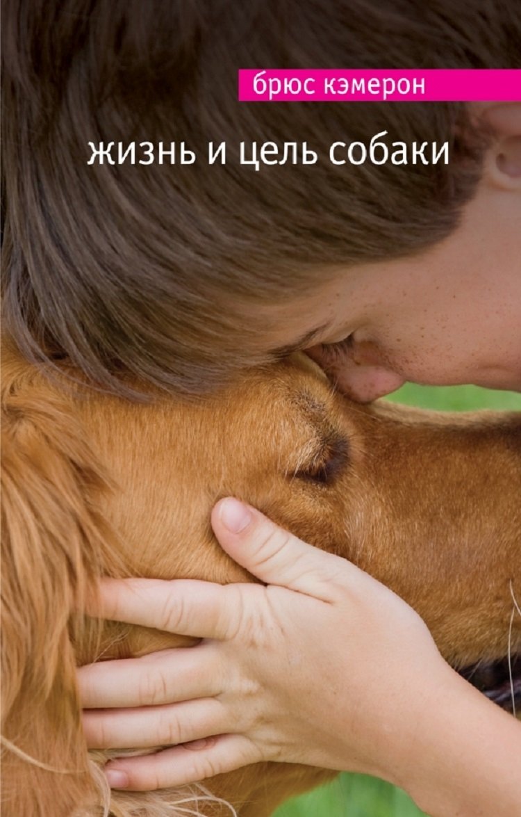 признаки любви собаки к хозяину