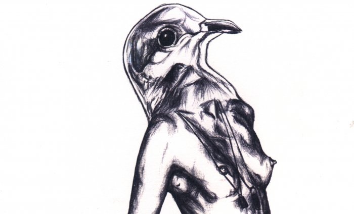 Диковинная птица