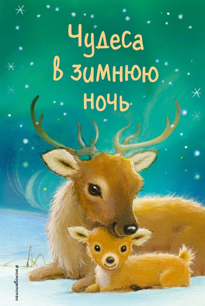 Чудеса в зимнюю ночь
