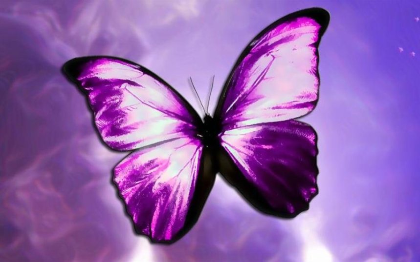 Рождество Набокова