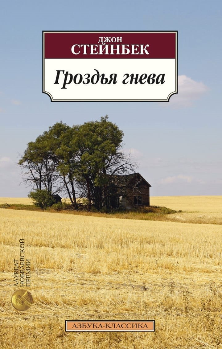 Художественные книги с нецензурной бранью
