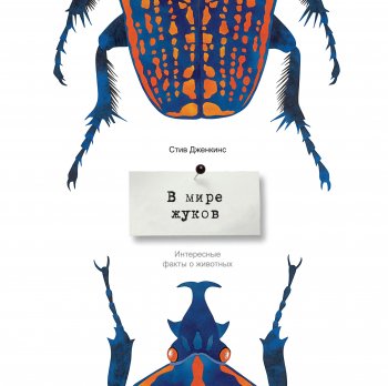 Стив Дженкинс, «В мире жуков. Интересные факты о животных» Стив Дженкинс, «В мире жуков. Интересные факты о животных»