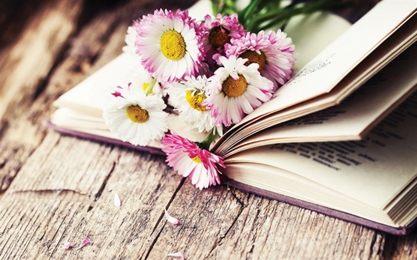 Книги апреля Книги апреля