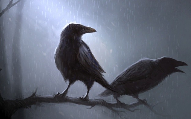 Воронята Воронята