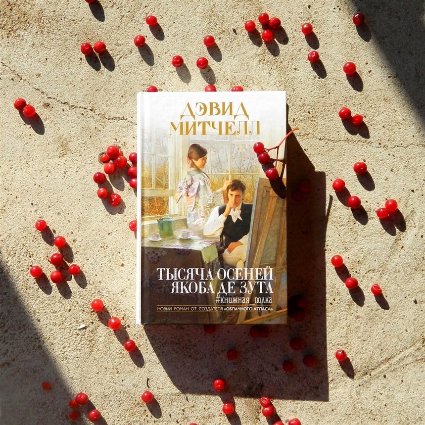 Тысяча осеней Якоба де Зута Тысяча осеней Якоба де Зута