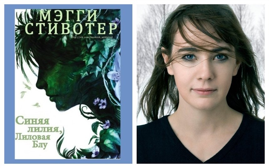 Синяя лилия, лиловая Блу