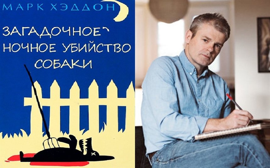 Загадочное ночное убийство собаки