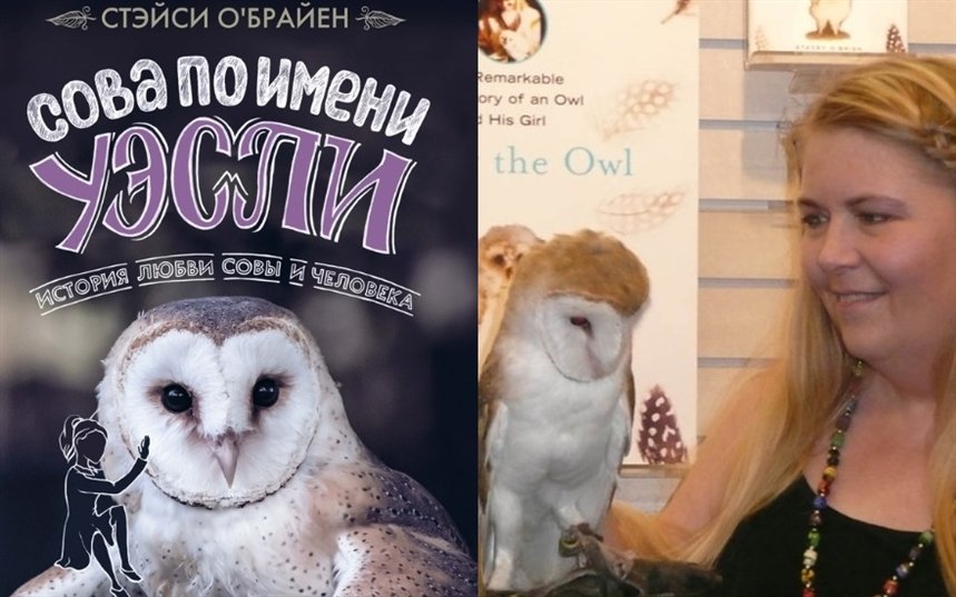 Сова по имени Уэсли