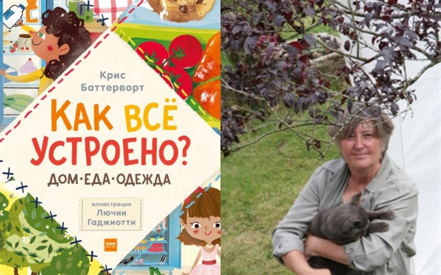 Как все устроено