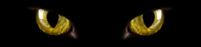 Животные страсти