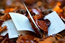 Что почитать в октябре 2017: 10 новых книг