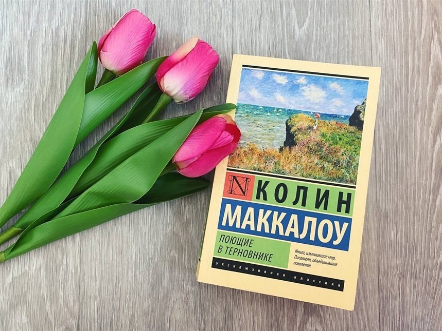 Книга пой. Поющие в терновнике эксклюзивная классика. Поющие в терновнике книга. Поющие в терновнике читать. Поющие в терновнике обложка книги красивая яркая.