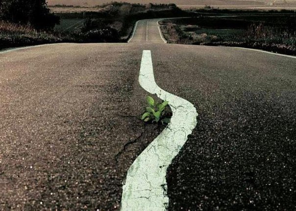 мотивация мотивация