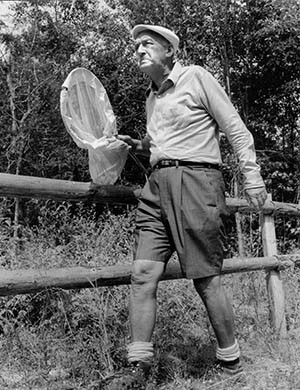 Набоков Набоков