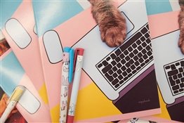 Скоро в школу: что купить прямо сейчас, чтобы не думать об этом потом