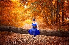 Топ-10 книг ноября 2020