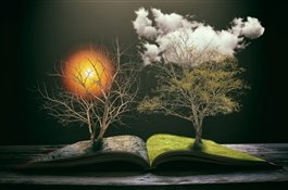 20 лучших книг осени 2020