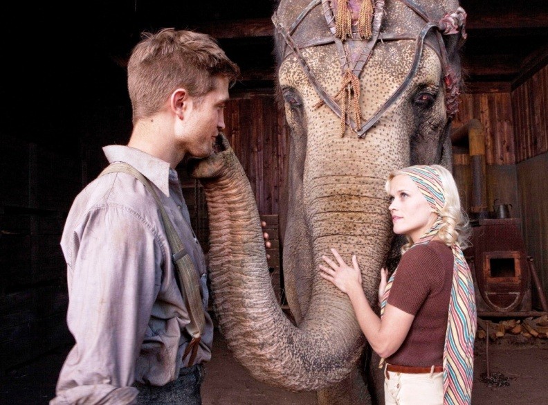 водя слонам водя слонам