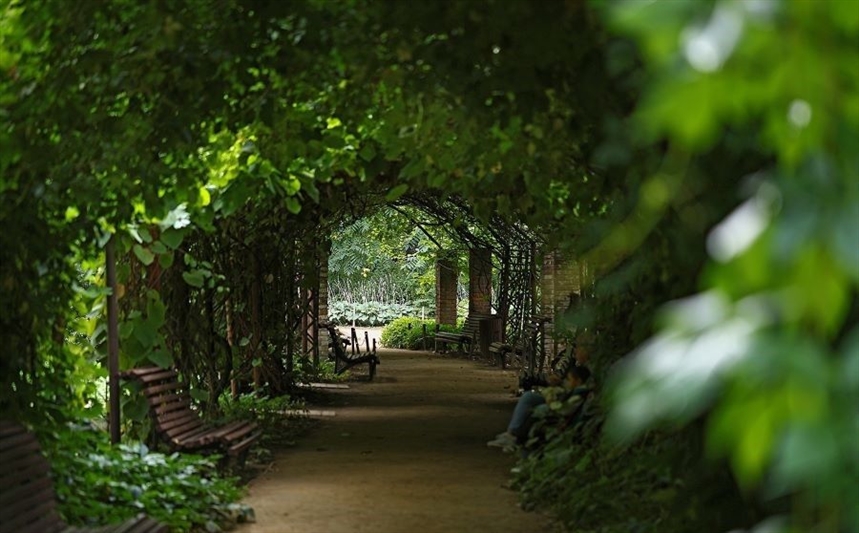 «Аптекарский огород» «Аптекарский огород»