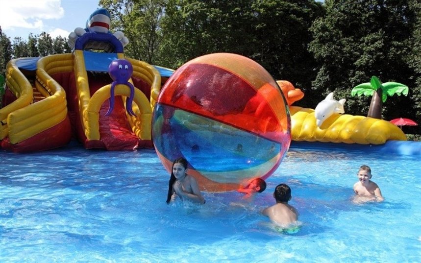 Акула-каракула Акула-каракула