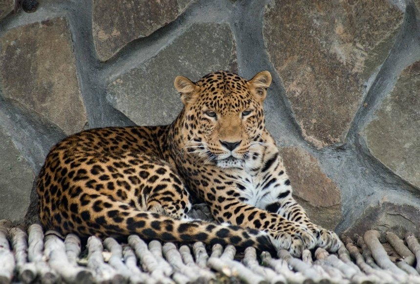 Экзотик-парк Экзотик-парк