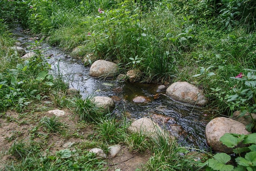 Битцевский лес