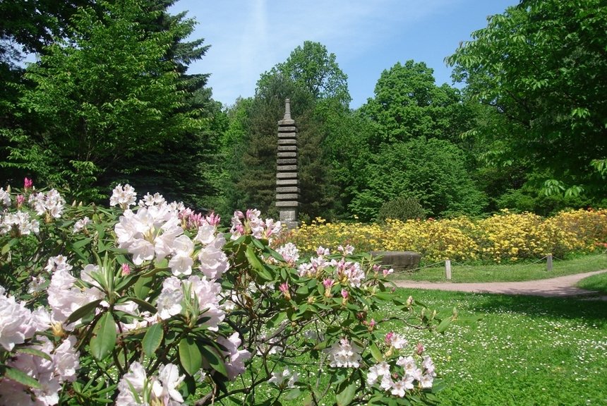 Ботсад им. Цицина