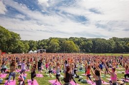 Куда пойти в Москве 15 и 16 июля