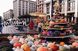 Куда пойти в Москве 7 и 8 октября