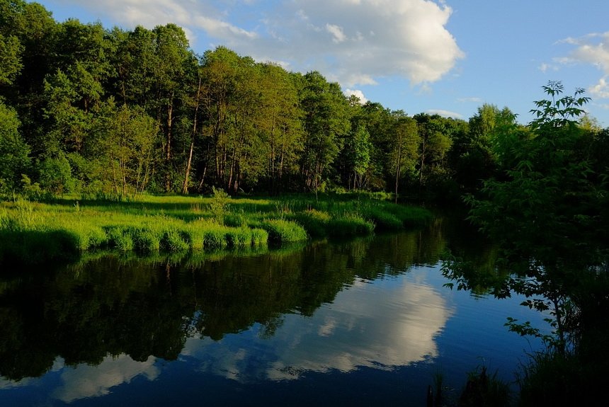 Покровское-Стрешнево