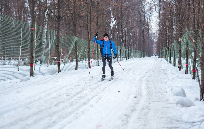 Лыжня Сокольники Лыжня Сокольники
