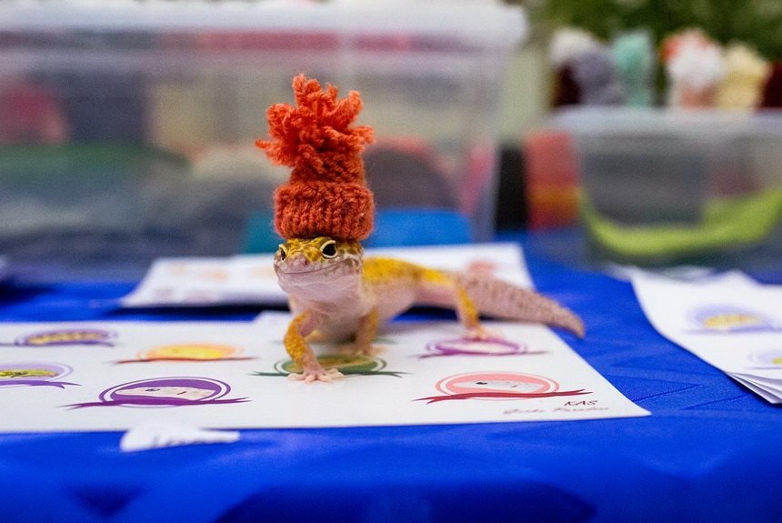 Выставка  Выставка