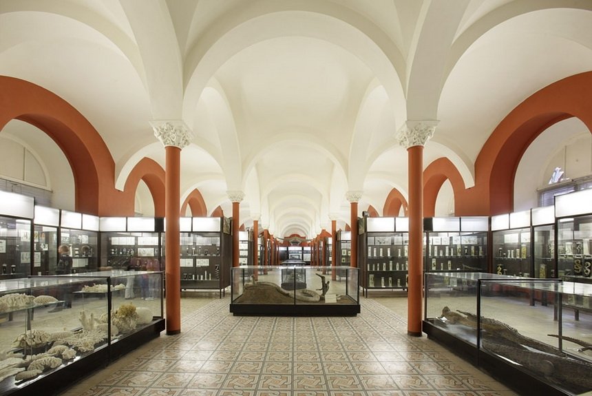 Зоологический музей