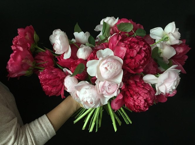 Red_Pink_Bomb Red_Pink_Bomb