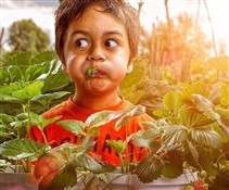 Креативные фото детей от Эдриана Соммелинга