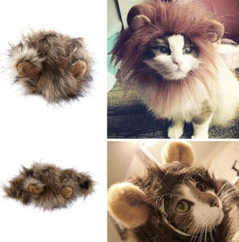 грива для кота