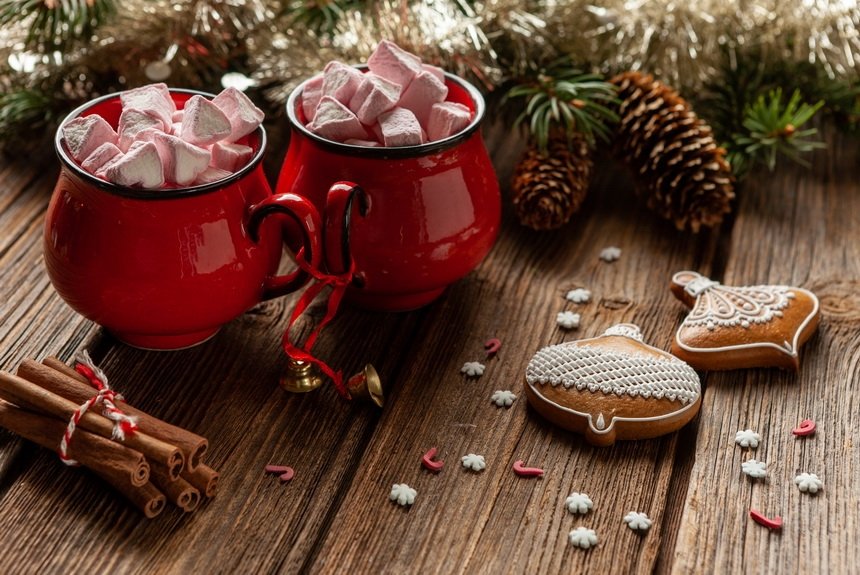 Программа на каникулы