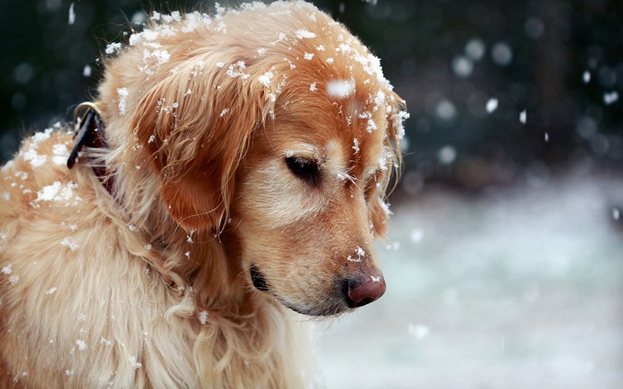 добрый поступок добрый поступок