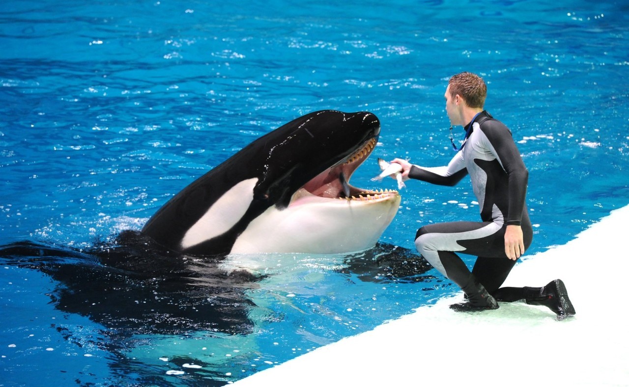 Москванариум Москванариум