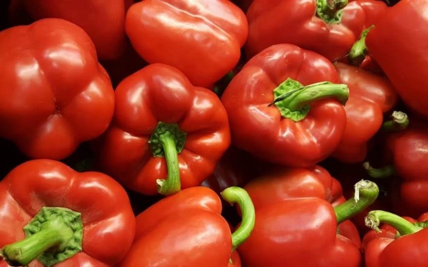 Красный болгарский перец 