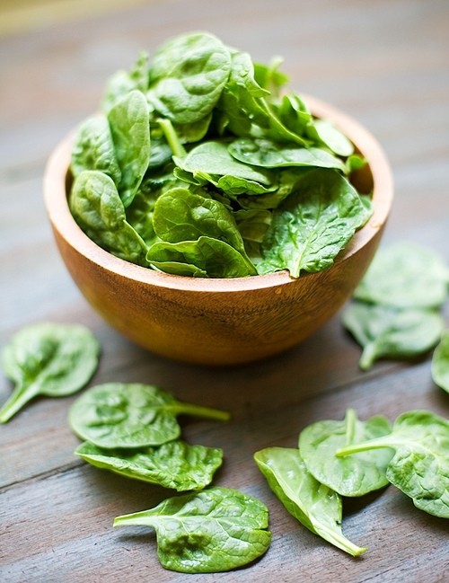 Салат Салат