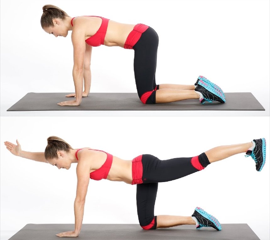 Охотничья собака