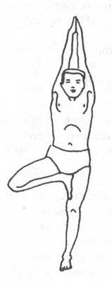 врикшасана врикшасана