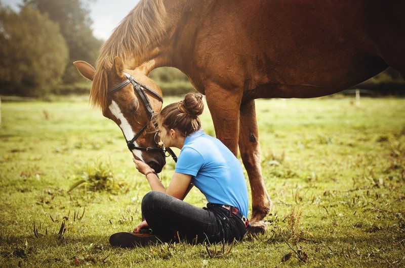 Конный спорт осенью