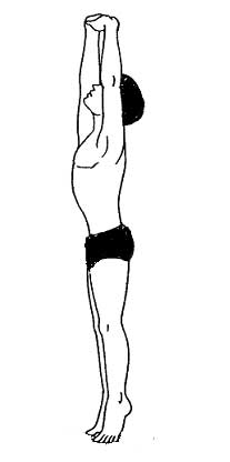 тадасана тадасана