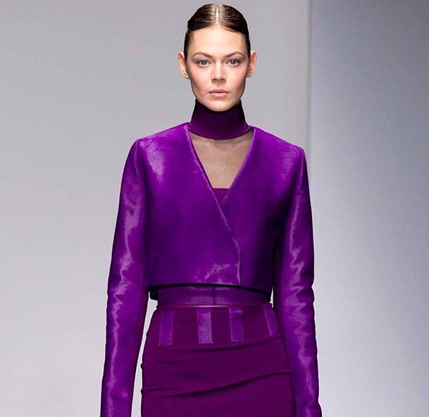 фиолетовый фиолетовый