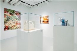 Огонь и мох: необычные вариации легендарной сумки Lady Dior