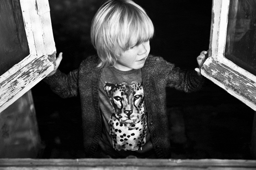 морли морли