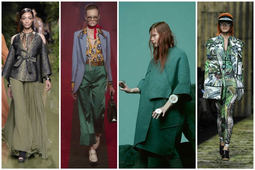 капуста_кале